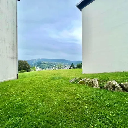 Joli Studio Cosy, Vue Magnifique Et Terrasse Privee Gerardmer Exterior photo