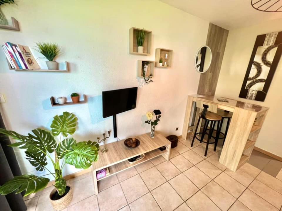 Joli Cosy, Vue Magnifique Et Terrasse Privee